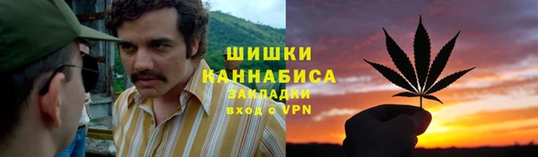 МДПВ Абаза