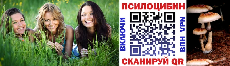 Псилоцибиновые грибы MAGIC MUSHROOMS  Чекалин 