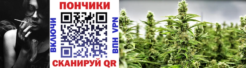 Бошки Шишки индика  купить наркотик  ссылка на мегу зеркало  Чекалин 